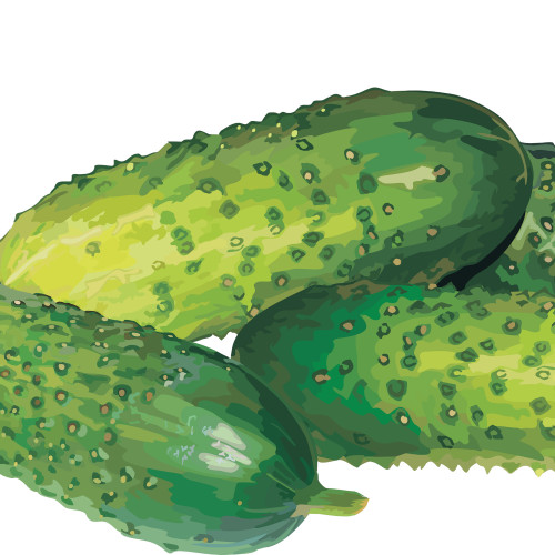 Тестовый товар 5